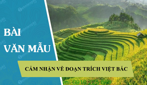 Cảm nhận về đoạn trích trong bài thơ Việt Bắc
