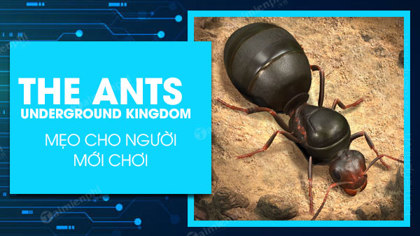 cach choi the ants underground kingdom