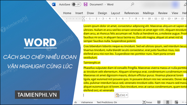 cach sao chep van ban highlight trong word