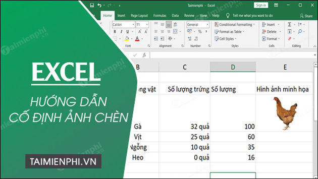 cach co dinh anh chen trong excel
