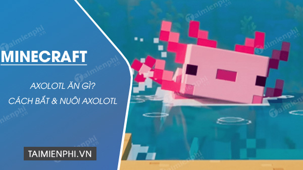 axolotl minecraft an gi
