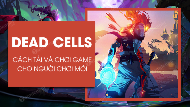 how to play dead cells
