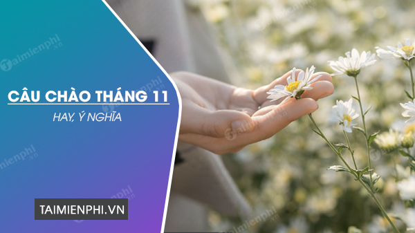 Hình ảnh tháng 11 yêu thương và những điều thú vị xung quanh chúng