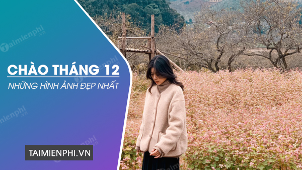 Hình ảnh chào tháng 12 làm STT đẹp, ấn tượng, nhiều người thích