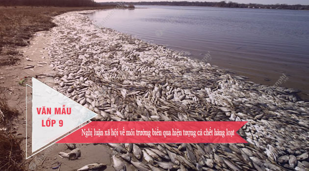 Nghị luận xã hội về môi trường biển qua hiện tượng cá chết hàng loạt