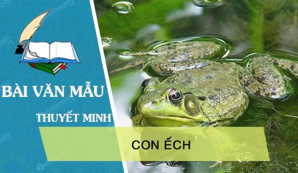 thuyet minh ve con ech