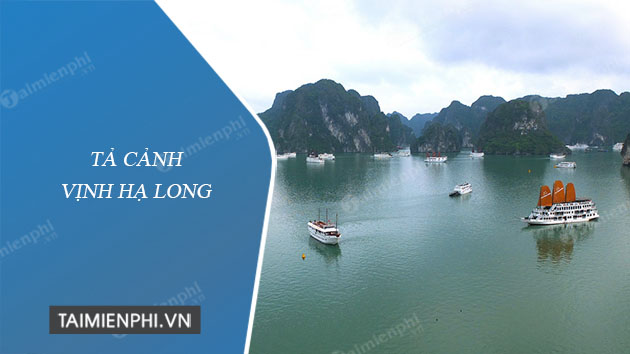 Vịnh Hạ Long, một trong những điểm đến du lịch nổi tiếng nhất Việt Nam. Hãy chiêm ngưỡng vẻ đẹp tuyệt vời của cái nôi của những khu rừng núi đá vôi, những hòn đảo lãng mạn và ngỡ ngàng. Bức ảnh này sẽ khiến bạn khát khao đến và khám phá thêm với chính mắt của riêng mình.