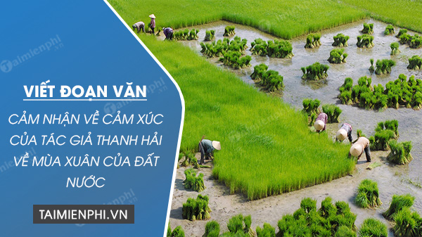 viet doan van cam nhan ve cam xuc cua tac gia thanh hai ve mua xuan cua dat nuoc