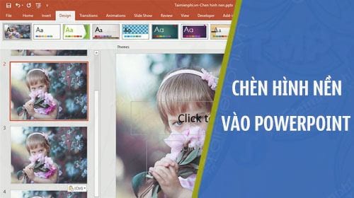 Cách chèn hình nền vào Powerpoint, chèn background