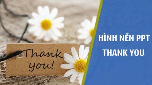 Hình Nền Powerpoint Thank You, Cảm Ơn Kết Thúc Slide, For Watching