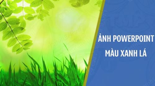 70+ hình nền kết thúc powerpoint đẹp, miễn phí