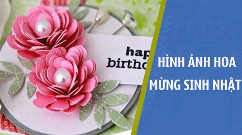 hinh anh hoa chuc mung sinh nhat dep nhat