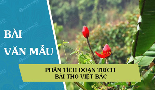 Phân tích đoạn trích bài thơ Việt Bắc