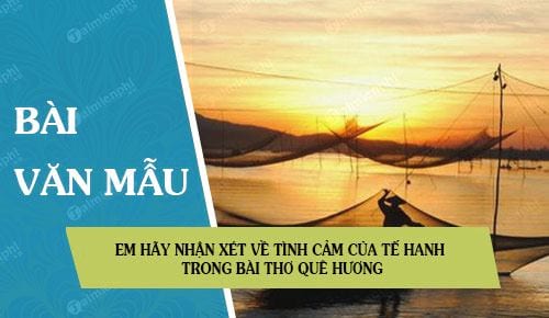 Em hãy nhận xét về tình cảm của Tế Hanh trong bài thơ Quê hương