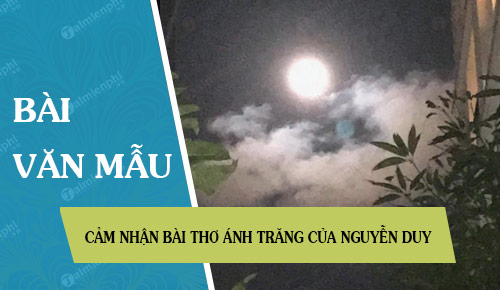 Cảm nhận bài thơ Ánh trăng của Nguyễn Duy
