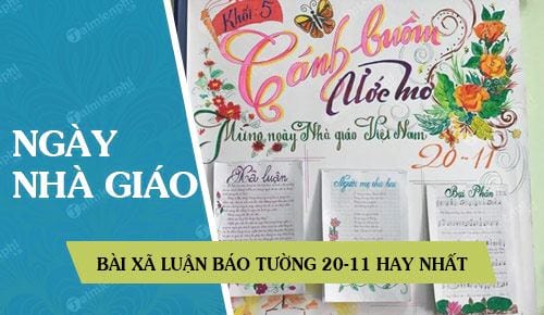 bai xa luan bao tuong 20 11 hay nhat