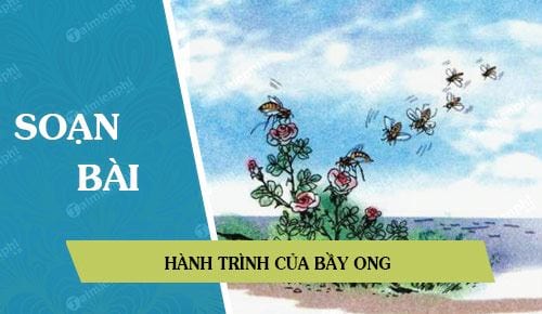 soan bai hanh trinh cua bay ong