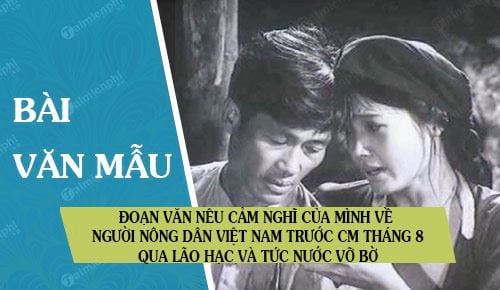 Viết đoạn văn nêu cảm nghĩ của mình về người nông dân Việt Nam trước Cách mạng tháng Tám 1945 qua Lão hạc và Tức nước vỡ bờ