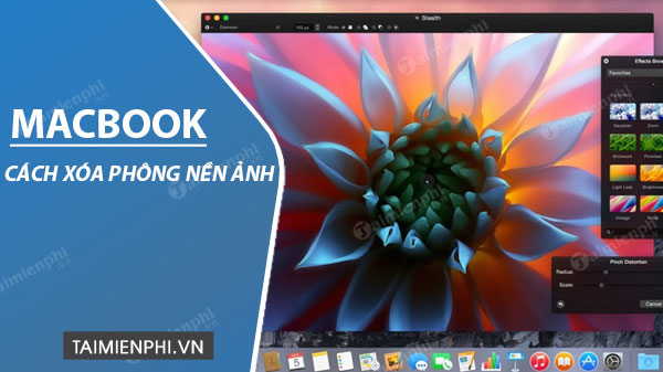 Cách xóa phông nền ảnh trên Mac, tách hình đơn giản