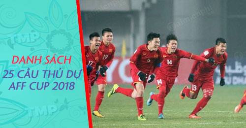 Danh sách 25 cầu thủ Việt Nam dự AFF Cup 2018