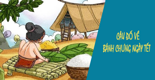 cau do ve banh chung ngay tet