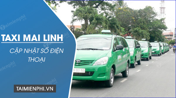Top 4 Taxi Mai Linh Hcm hay nhất, đừng bỏ lỡ