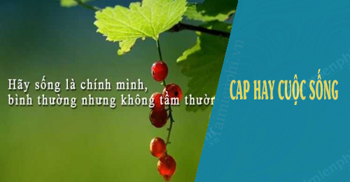 cap hay ve cuoc song