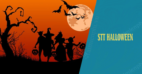 stt halloween hay