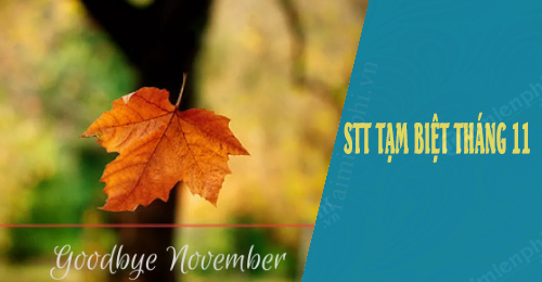 stt tam biet thang 11