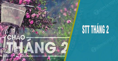 stt thang 2