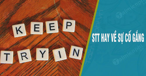 stt hay ve su co gang