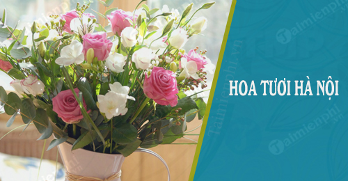 Hoa tươi Hà Nội - Địa chỉ các cửa hàng bán hoa đẹp