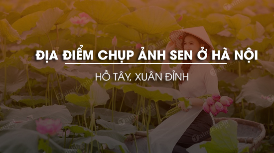 Địa chỉ chụp ảnh hoa sen ở Hà Nội