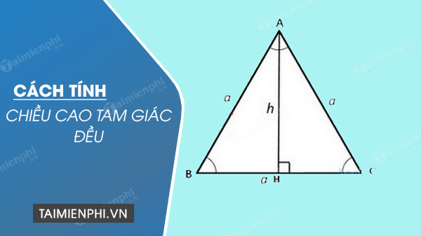 Làm thế nào để tăng chiều cao của một hình tam giác