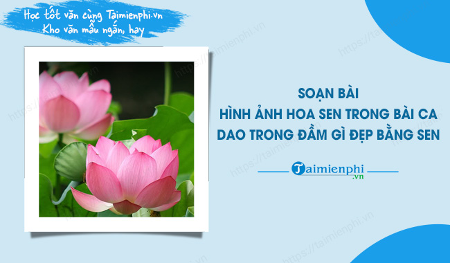 Hoa sen: Hoa sen là một trong những biểu tượng văn hóa đặc trưng của Việt Nam. Nó đại diện cho sự tinh khiết, sự thanh nhã của người Việt. Hãy xem hình ảnh hoa sen để cảm nhận được sự đẹp đẽ và tinh tế của nó.