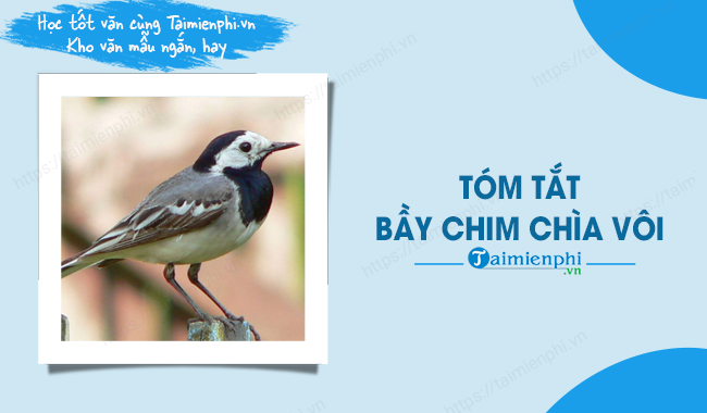 Văn bản Bầy chim chìa vôi - Nguyễn Quang Thiều - Nội dung, tác giả, tác phẩm
