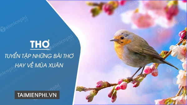 Thơ Hay Về Mùa Xuân, Thơ Lục Bát, Thơ Tình Mùa Xuân