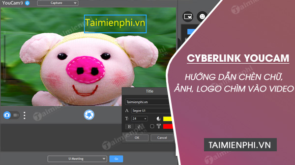 Cách chèn chữ, ảnh, logo chìm vào video Youcam 9