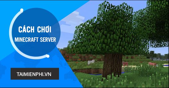 how to get into minecraft server on windows 10