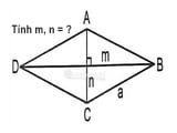 Hai đường chéo của hình thoi có bằng nhau hay không? 
