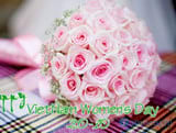 Những mẫu ảnh hoa đẹp tải ảnh hoa đẹp 20 10 đang hot trên mạng