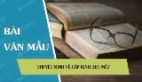 Thuyết minh về cặp kính đeo mắt ( https://thuthuat.taimienphi.vn › thuye... ) 