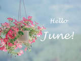 Chào tháng 6, Status, Stt, Caption, câu nói hay tháng sáu