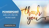 Cách tạo slide cảm ơn đẹp trong PowerPoint?
