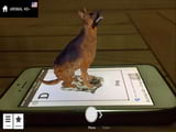 Tìm những hình ảnh anime 4D con vật mới nhất hiện nay trên App Animal 4D?