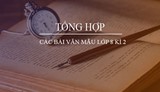 Tổng hợp các bài văn mẫu lớp 8 kì 2 - Thủ thuật