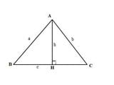 Làm thế nào là nhằm tính phỏng nhiều năm lối cao vô tam giác cân?
