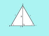 Chiều cao của tam giác đều phải có tỷ trọng với chừng lâu năm những cạnh hoặc không?
