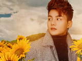 Lời bài hát Bức Tranh Yêu Thương, lyrics