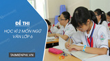 đề thi ngữ văn lớp 6 học kì 2